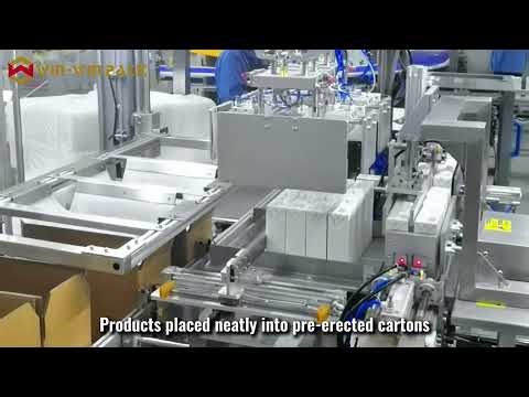 WIN-WIN PACK Pick and Place Case Packer for Tetra Brik Cartons | Case Packing Machine #casepacker