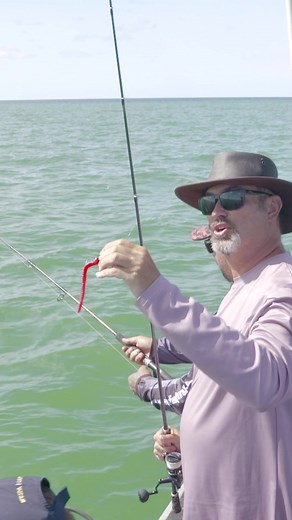 Fishing with Allan's Snake: Catching a Cod Underwater