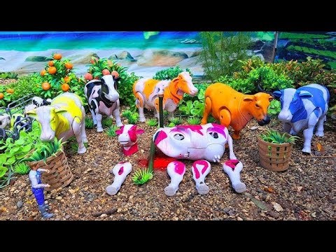 PROSES POTONG SAPI QURBAN !! SIMULASI POTONG SAPI COW MILK COW CARTOON