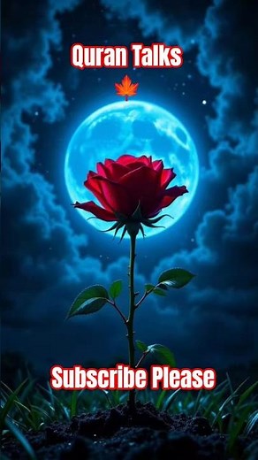 💖Surah Al-Lail 💞l beautifully teaches #lohequrani #hafidh #allama #shaikh #egzonibrahimi #quran#bome