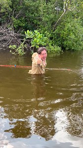 จืดบ้างเค็มบ้างกร่อยบ้างนี่แหละชีวิตของเราเปรียบกับสายน้ำเมืองแม่กลอง เวรี่กู๊ด | ดอกเกลือธรรมชาติและของดีเมืองแม่กลอง Byครูเสือ