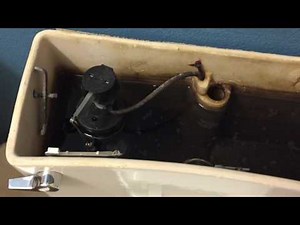 Eljer Hygeian Toilet Flush