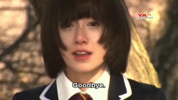 Boys Over Flowers (TV Series 2009)