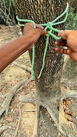 The Strongest Knot to Tie a Rope to a Tree 🔥#RopeKnot #CampingLife #SurvivalSkills #Bushcraft