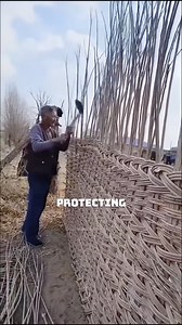 236K views · 1.2K reactions | Unique Sheep Farming in Thailand #SheepFarming #ThailandAgriculture #SustainableFarming #WildlifeProtection #FarmTech | Satisfying Videos | Facebook