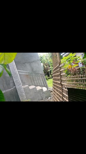 Maria Lourdes Murillo Abello on Reels