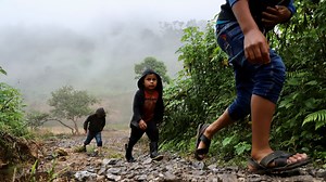 La desesperada huida de 200 indígenas desplazados por la violencia en Chenalhó, Chiapas