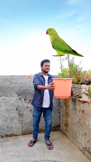 1.2M views · 3.6K reactions | Bird vs frog & scorpion funny vfx magic  #comedy #editing #viral #vfx #reels #trending #funny #magic #foryou #game | Ayan mechanic | Facebook