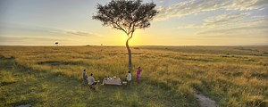 Plan a 2026 Masai Mara Safari | Go2Africa