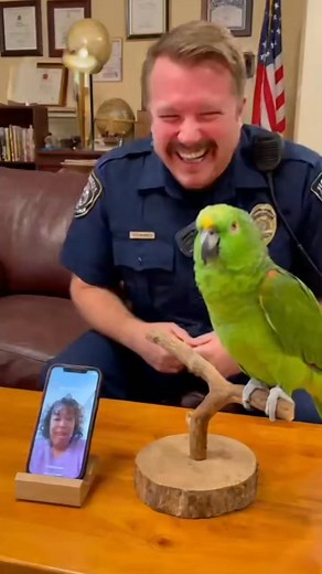 Funny parrot vith mom #funnyanimalsot #parrot #soraszoo #parrotlife #funnyanimals | Sora's Zoo