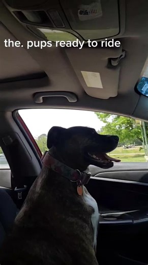 Chad Lee (@chadwilbourn)’s videos with I WANNA RIDE (Sped Up) - Joseline Hernandez