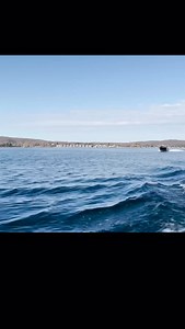 From the Van Dam Vault: LUV IN IT Launched in 2015, this classic Limousine-style cruiser blends timeless elegance with modern performance. Inside, handcrafted joinery pairs with a wet bar, fridge, coffee maker, and head. The limousine top offers 6’-2” of standing room, while the V-berth provides space for overnight stays. Sliding windows, a flush foredeck hatch, and a hidden sound system add comfort without compromising style. Powered by twin 320hp Ilmor engines, LUV IN IT performs as beautifull