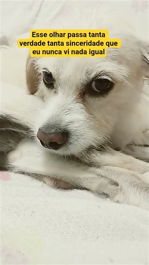 7 de dezembro de 2025