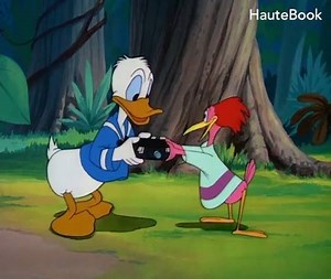 11M views · 122K reactions | When #DonaldDuck attempts to photograph a chorus line of hummingbirds, the Aracuan Bird interrupts the picture with a Russian kick dance. :P For more animation videos - https://goo.gl/Qh2GjG | HauteBook | Facebook