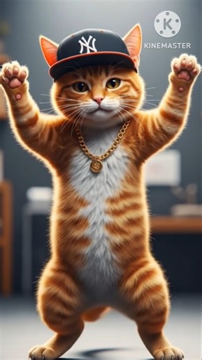 cat dance vedios #shortvideo #cat #shortsviral #vairalvideo #ytshorts #shorts #cat