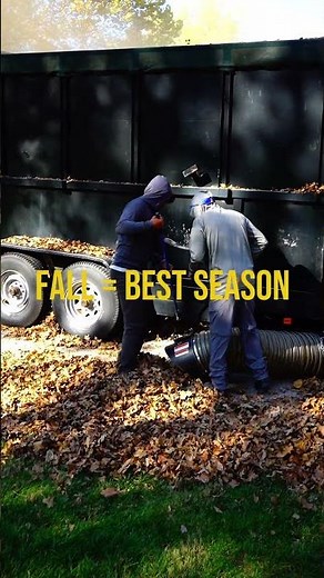 Leaf Removal Made Easy with our Billy Goat Vacuum #lawncare #leafremoval #landscaper #satisfying