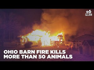 More than 40 animals dead after barn fire in Ohio
