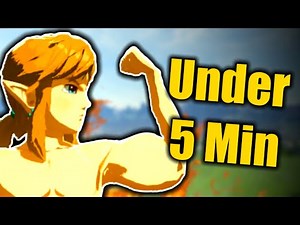 How to ACTUALLY Speedrun Breath of the Wild!