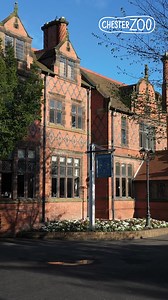 52 reactions | Join us for a WILD day out at Chester Zoo!  UK’s best rated zoo on Tripadvisor 女 37,000 amazing animals including rare species  FREE parking  Save up to 15% by booking online  Lazy River boat ride around our island habitats  5 adventure playgrounds for kids of all ages ️ Choice of restaurants with award winning food  Carers and Under 1’s go FREE! ❤️ We’re not for profit - every penny helps save wildlife | Chester Zoo | Facebook