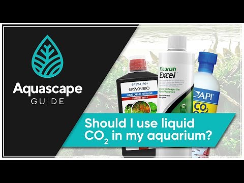 Aquascape Guide - Should I use liquid CO2 in my aquarium