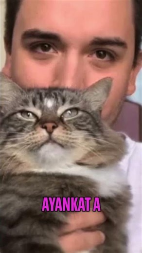 Nyan Cat's Creator Just Revealed Everything #nyancat #memeorigin #shorts