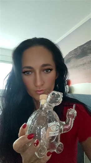 Discover Unique Whiskey Bottle Turtle Crafts