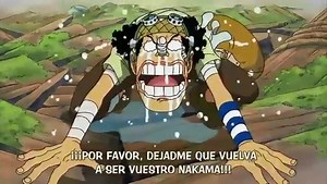 One piece capítulo 323 | One Piece Momentos Epicos