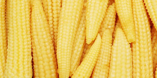 What Is Baby Corn?
