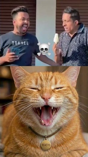 🤣💔 #reacto #shorts #trend