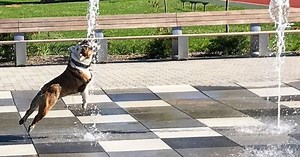 Butler Blue III — Trip — to retire in May