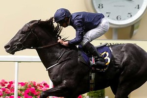 2024 Commonwealth Cup: Race History