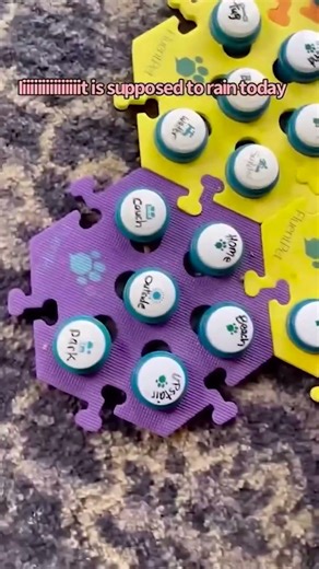 Otter gets a little too upset sometimes (and so does Bunny to be fair)