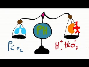 🔵ACID-BASE BALANCE