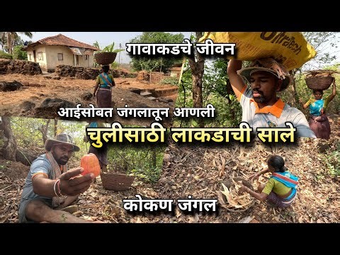 गावाकडचे जीवन: आईसोबत जंगलातून आणली लाकडाची साले | Village Life Konkan | Collecting wood from Forest