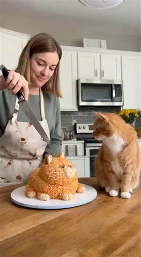 She cut a cat-shaped cake, and the orange cat was terrified. #funny