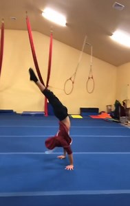 You Asked for It... Here’s the Backflip!