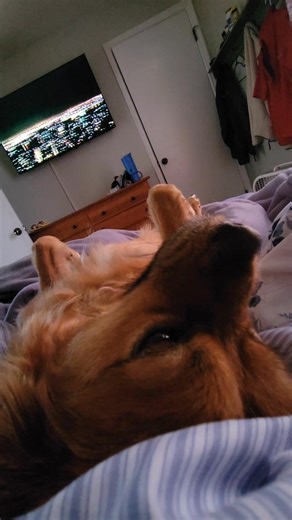 2003 Saturday night live Grew up always wanting to waching this too haha | Ashlynn Blake | Facebook