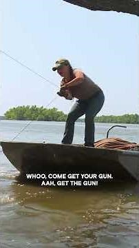 This Gator's HUGE! | Swamp People | #Shorts
