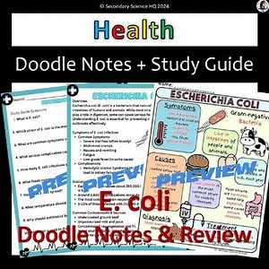 E. coli Doodle Notes, Study Guide, and Review | Health