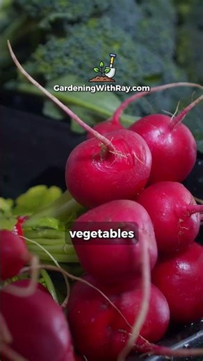 Are Containers Good for Beginners?