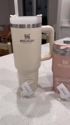 Prevent Spills with Our Stanley Tumbler Stopper!