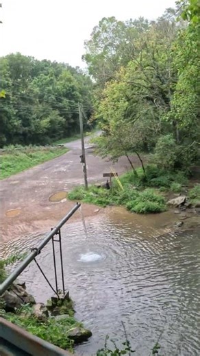 Buffalo Springs Waterfall Bridge