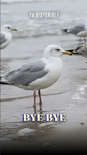 YA PODES ESCUCHAR ¨BYE BYE¨ 🎶🙌