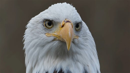 Efficient Image Editing With Affinity Photo 2