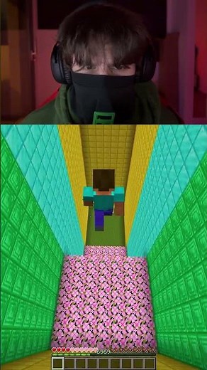 Kam Steve dojde? #minecraft #cz