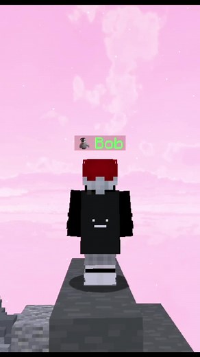 Idk | #fyp #bobthepenguin #viral #minecraft