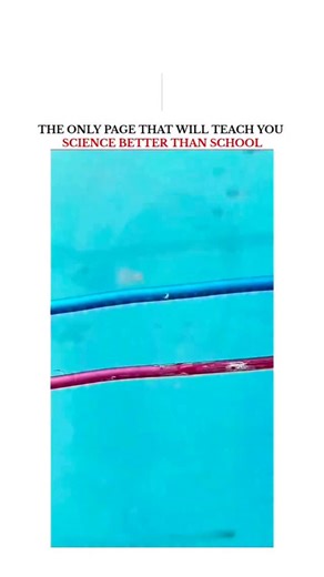 UNIVERSE | SCIENCE | TECHNOLOGY on Instagram: "a person demonstrating an electrical connection using a bulb holder and no-strip quick splice wire connectors. The connectors allow two wires to be joined without stripping or soldering the insulation. The red and black connectors are typically used for different wire gauges (thicknesses). This setup is being used to connect a light bulb holder to a main power source. The image also features a "Play video" button, suggesting it is a screenshot from