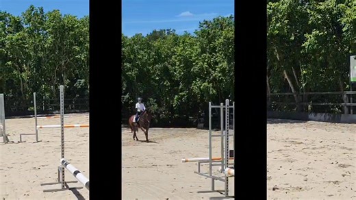 Cavaletti course lessons. I've got my jumps set for caveletti training at my Mount Samson location till Saturday 11th. Prepares you and your horses basics for the season. Its fun learning and great for all levels. Book by DM Kadi 0403 557 549. Most availability is Friday and Saturday. Sessions 30mins | Gee Gee Equestrian