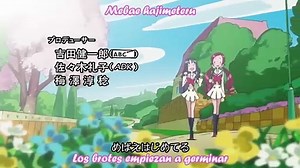 [Sub Esp] Heartcatch Precure! - Episodio 36