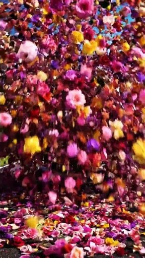 Car Explodes into Flowers: A Beautiful Destruction!